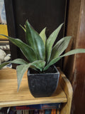 Faux Foxtail Agave Plant in Container