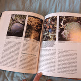 Marine Reef Aquarium Handbook by Dr. Robert J. Goldstein. Softcover Book